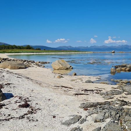 Prima Lofoten Myrland Zewnętrze zdjęcie