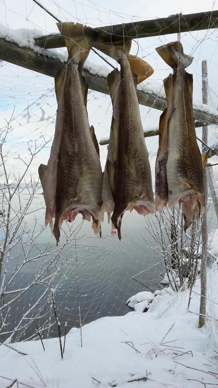 Prima Lofoten Myrland Zewnętrze zdjęcie