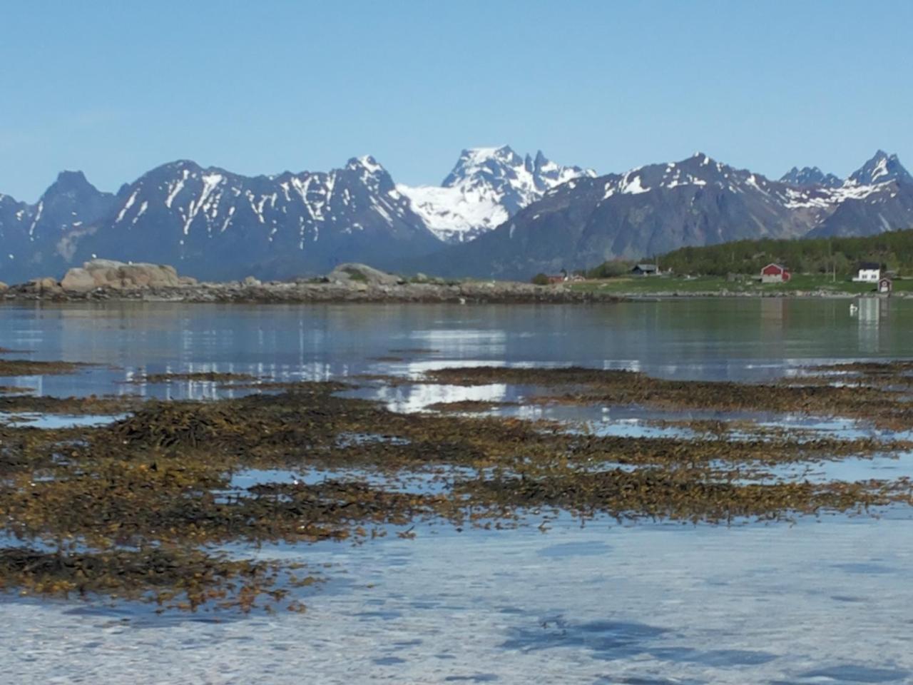 Prima Lofoten Myrland Zewnętrze zdjęcie