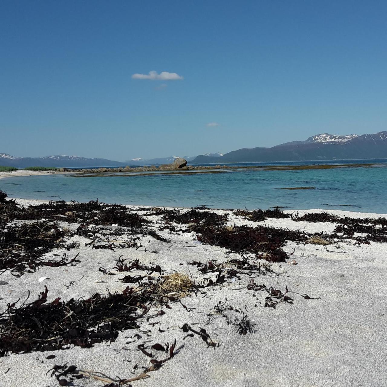 Prima Lofoten Myrland Zewnętrze zdjęcie