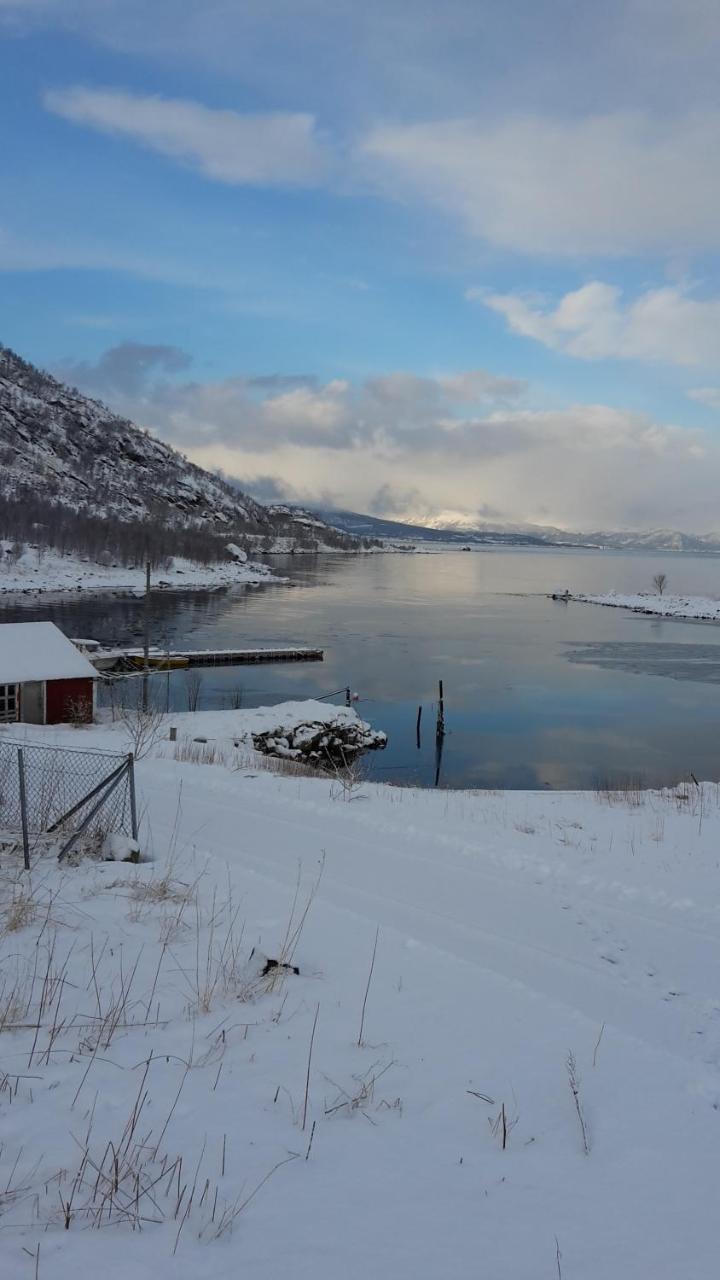 Prima Lofoten Myrland Zewnętrze zdjęcie