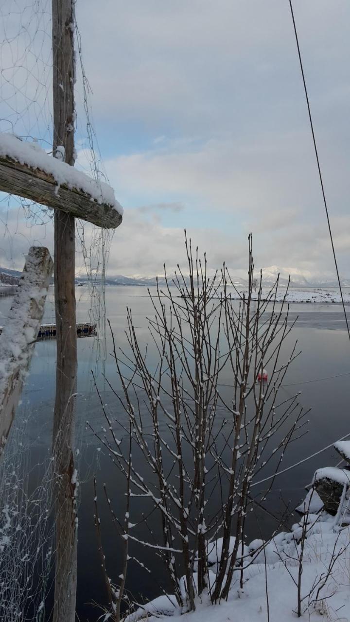 Prima Lofoten Myrland Zewnętrze zdjęcie
